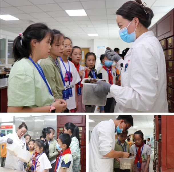 春假不逛景点逛医院！中小学生组团走进新疆长安中医脑病医院沉浸式探秘中医
